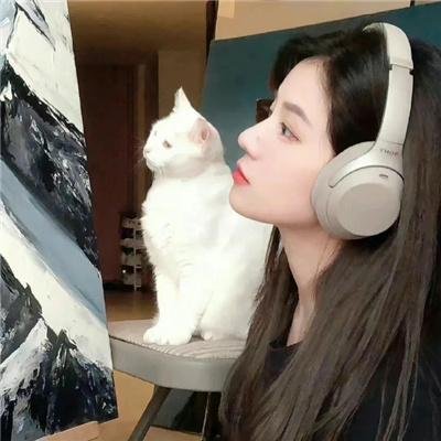 再见已是白月光