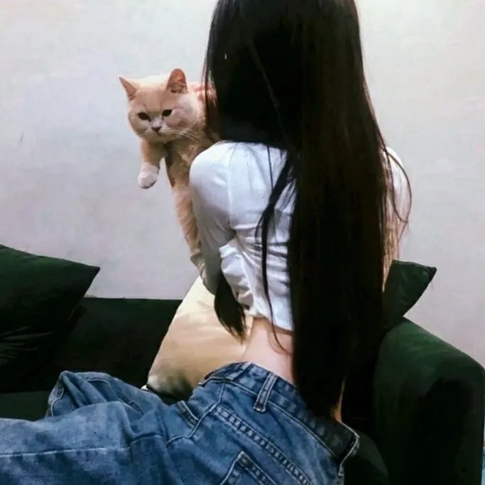 一个姑爷半个儿第二部